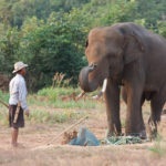 呼び方は様々なプラントハンター